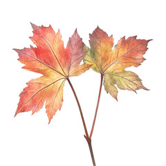 Fototapeta premium Autumn Maple Leaves Abstract Art Red Orange Yellow Brown Colors