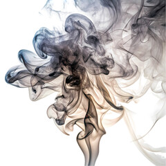 Fototapeta premium Abstract Smoke Swirls Grey White Texture Background isolated on transparent background