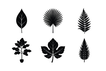 Fototapeta premium worlds famous many kinds of leaves silhouette vector illustration