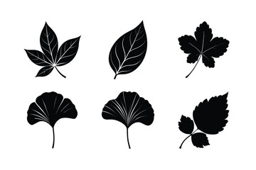 Fototapeta premium worlds famous many kinds of leaves silhouette vector illustration