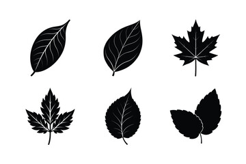 Fototapeta premium various type of leaves silhouette vector illustration