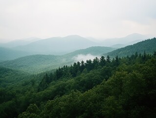 An elevated view of a mountain range with a dense forest in the foreground, featuring mist, fog, a light blue sky, green trees and distant green mountains