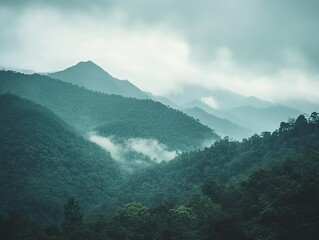 An elevated view of a mountain range with a dense forest in the foreground, featuring mist, fog, a light blue sky, green trees and distant green mountains