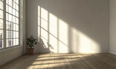 Obraz premium Sunlight Streaming Through Window in Empty Room with Potted Plant