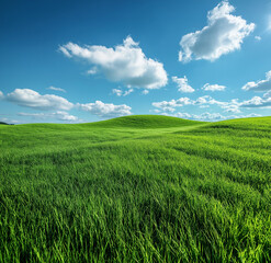 Fototapeta premium Green Grass Hill with Blue Sky and White Clouds