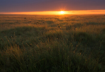 Grasslands covered in dew, glowing under the fading light of a vibrant sunset.