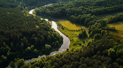Aerial View of Serpentine River Winding Through Lush Green Forest