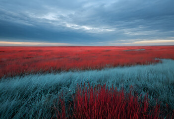 Grasslands under a sky that shifts from deep red to a soft, cool blue.