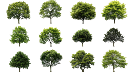 Collection of Diverse Green Trees