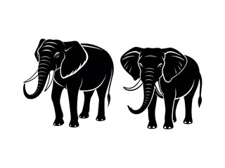 Fototapeta premium elephant vector illustration
