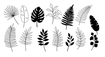 Botanical Variations: A collection of various detailed hand-drawn plant leaves including palm, banana, and fern in a monochrome outline. Capturing the elegance and intricacy of the natural world.