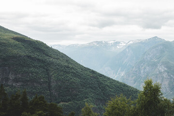 Norwegian mountain landscape. Green coniferous trees grow on the mountain and white frozen snow on the mountain top. warm summer day