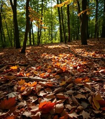 Obraz premium Forest floor strewn with autumn leaves, dappled sunlight creates natural camouflage, environment, earthy