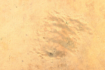 old wall texture