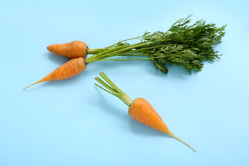 Fresh carrots on blue background