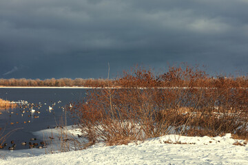 Winter landscape on a sunny day