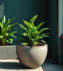 Fototapeta premium Lush green plant thriving in a modern concrete planter, botanical, green, contemporary