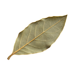 Obraz premium bay leaf isolated on white