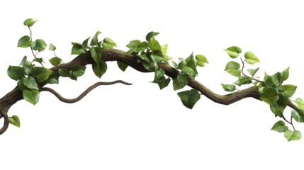 Ivy-Covered Branch in Nature