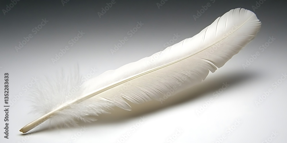 Aufkleber single pristine white feather on gradient background with soft shadows