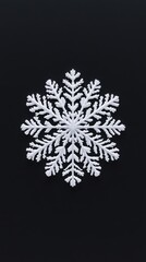 A single white snowflake isolated against a dark background is present