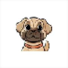 Pixel icons of wonderful cute doggies. Little shaggy puppies. Fun friends for you and your family
