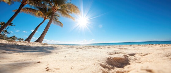 Bright Sun Kissed Beach Paradise Tropical Oasis With Blue Ocean, Palm Trees, Warmth, Evoking Beauty, Capturing Suns Glare On Sandy Beach