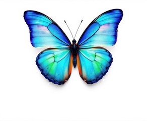 Fototapeta premium Vibrant blue butterfly with colorful wings on pure white background, blue, spring