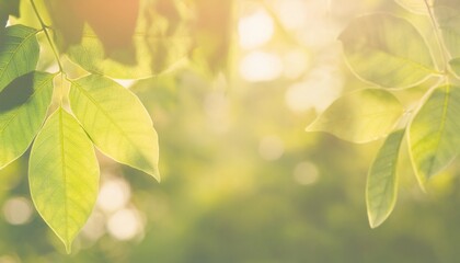 Green Leaf Pattern Background with Soft Light Leaks for Nature and Relaxation Themes