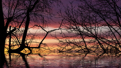 Vibrant sunset reflecting on tranquil water with silhouetted trees creating an enchanting...
