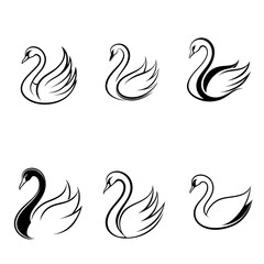 Fototapeta premium duck set vector