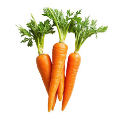 This close-up image captures a pile of finely grated carrots next to a metal grater, highlighting the texture and vivid color on a smooth white background.