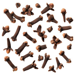 cloves isolated