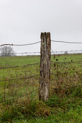 Fototapeta premium old wooden fence
