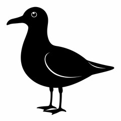 Coastal Bird Silhouette Design