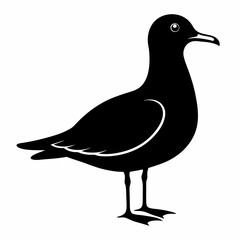 Coastal Bird Silhouette Design