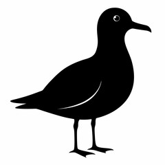 Coastal Bird Silhouette Design