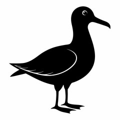 Coastal Bird Silhouette Design