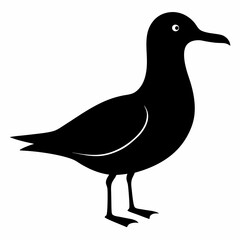 Coastal Bird Silhouette Design