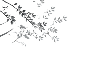 Black and white leaf shadow effect.