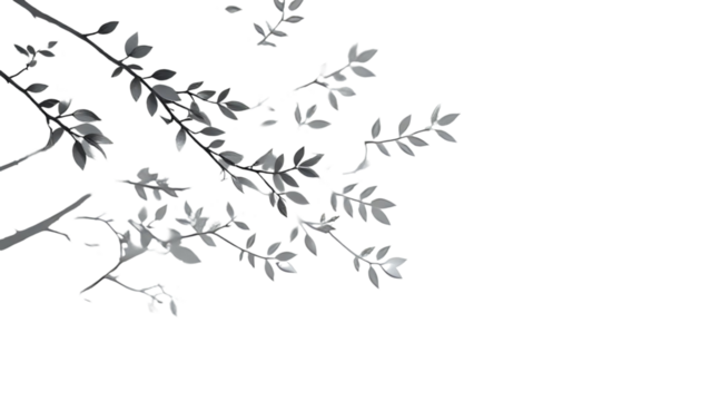 Black and white leaf shadow effect.