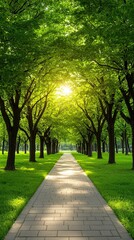Global Running Day, A serene pathway lined with lush green trees and sunlight.