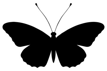 Simple Black Butterfly Silhouette vector
