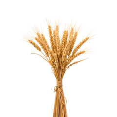 Fototapeta premium Bouquet of Wheat Stalks on White Background