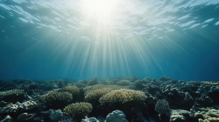 Sunlight streams through ocean water illuminating a coral reef environment