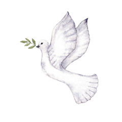 Flying dove holding an olive branch as a sign of peace. first communion, baptism greeting cards, invitation, wedding card. Watercolor illustration