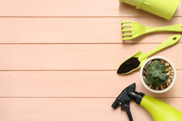 Succulent and gardening tools on pink wooden background. Top view