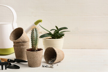 Cactus and and tools for transplanting on table against white wooden background