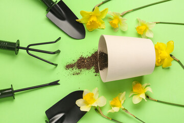 Set of gardening tools, daffodil flowers and pot with soil on green background