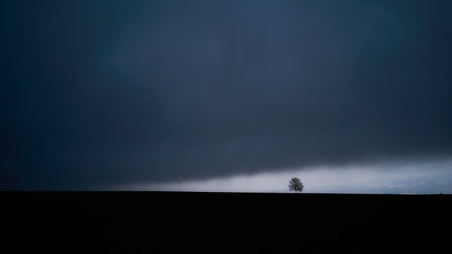 Un arbre solitaire se dresse sur une ligne d'horizon sombre, contrastant avec un ciel dramatique et mena&ccedil;ant. Les nuages sombres et lourds sugg&egrave;rent une temp&ecirc;te imminente.